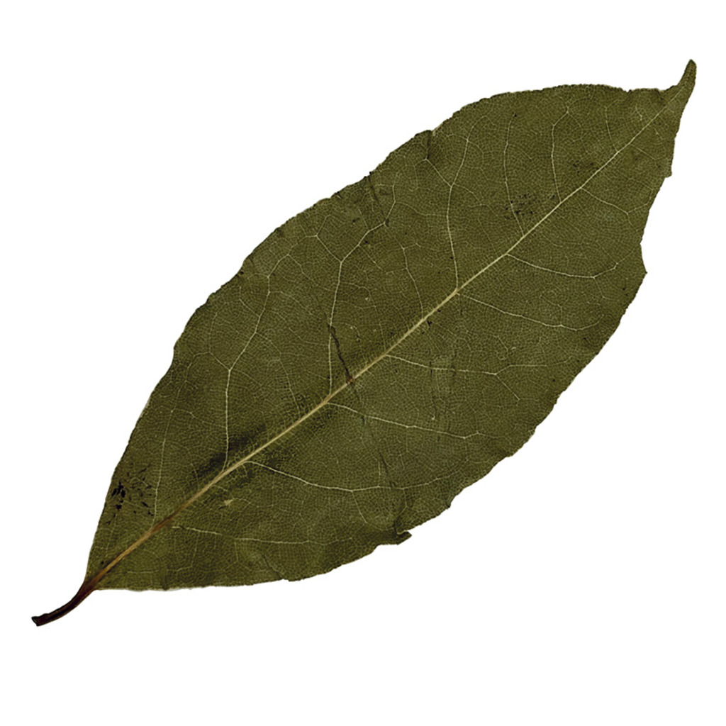 HOJA DE LAUREL 2,5kg